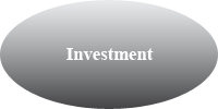Investment